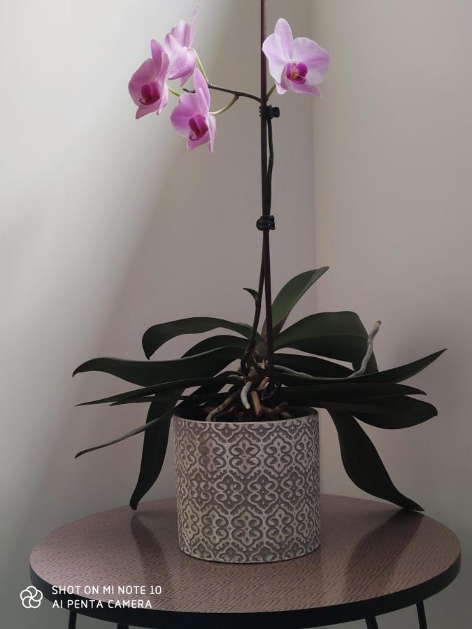 Chambre D'Hotes Du Muguet Avec Sdb Privative Le Mans Zewnętrze zdjęcie